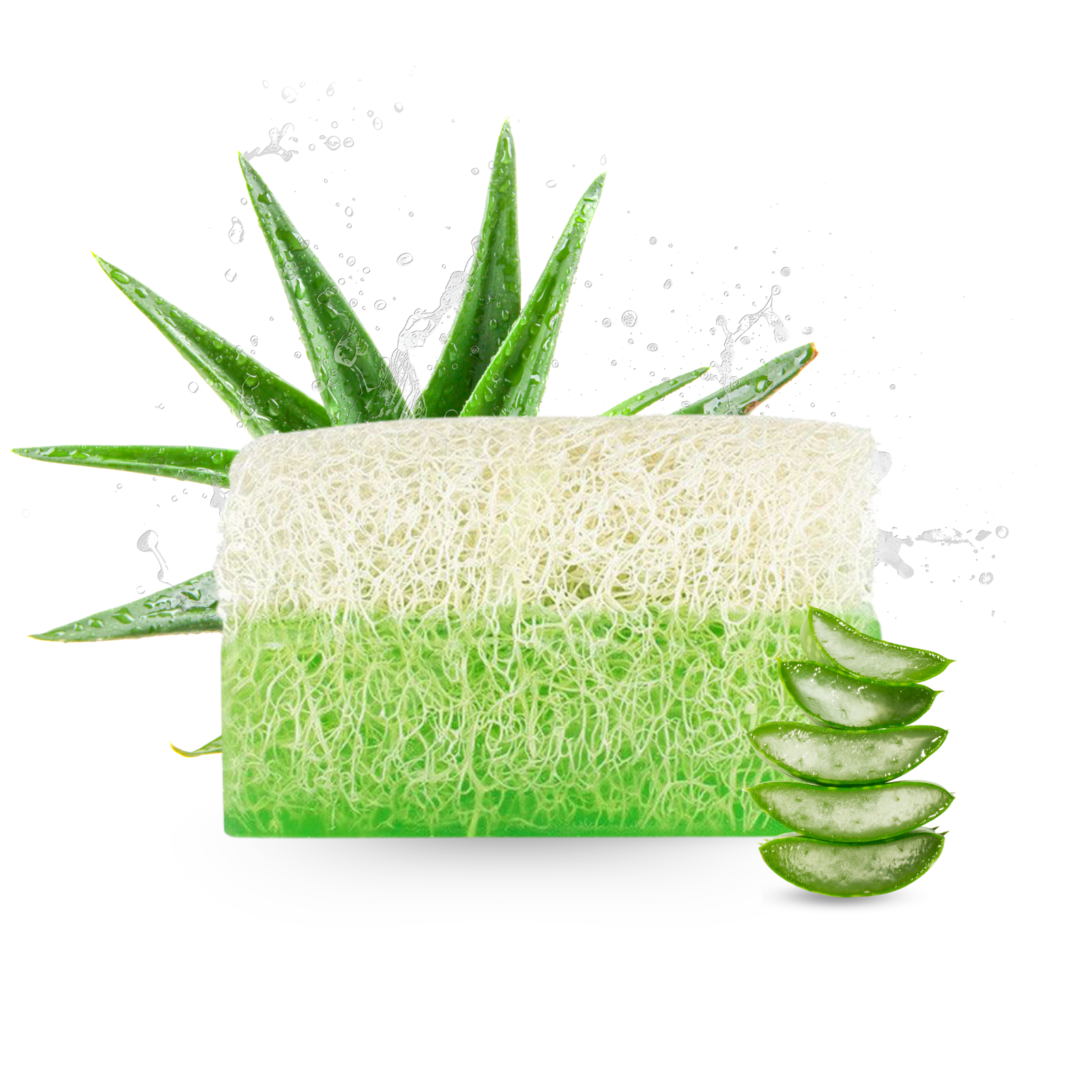 Aloe Vera-Seife mit Luffaschwamm