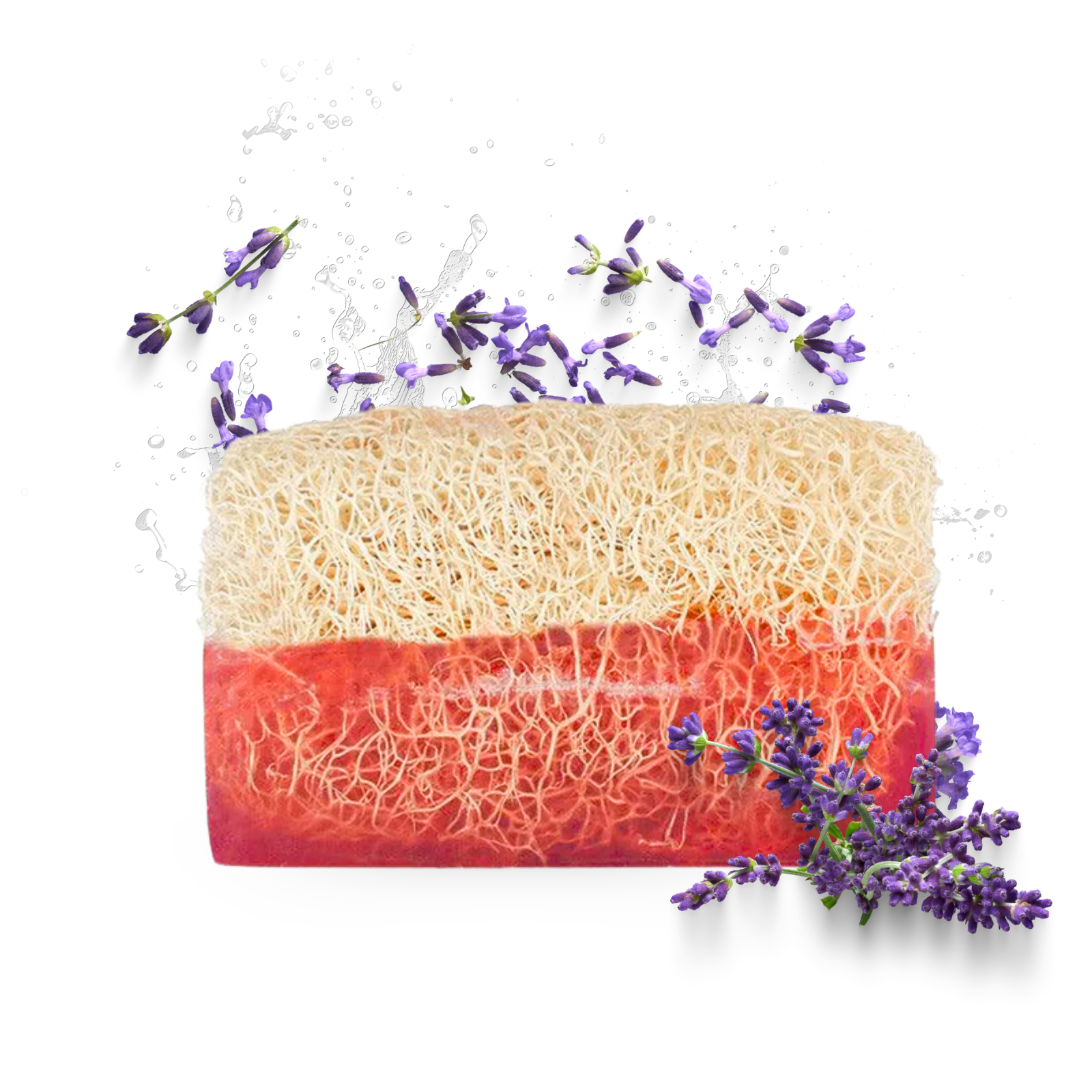 Lavendel-Seife mit Luffaschwamm